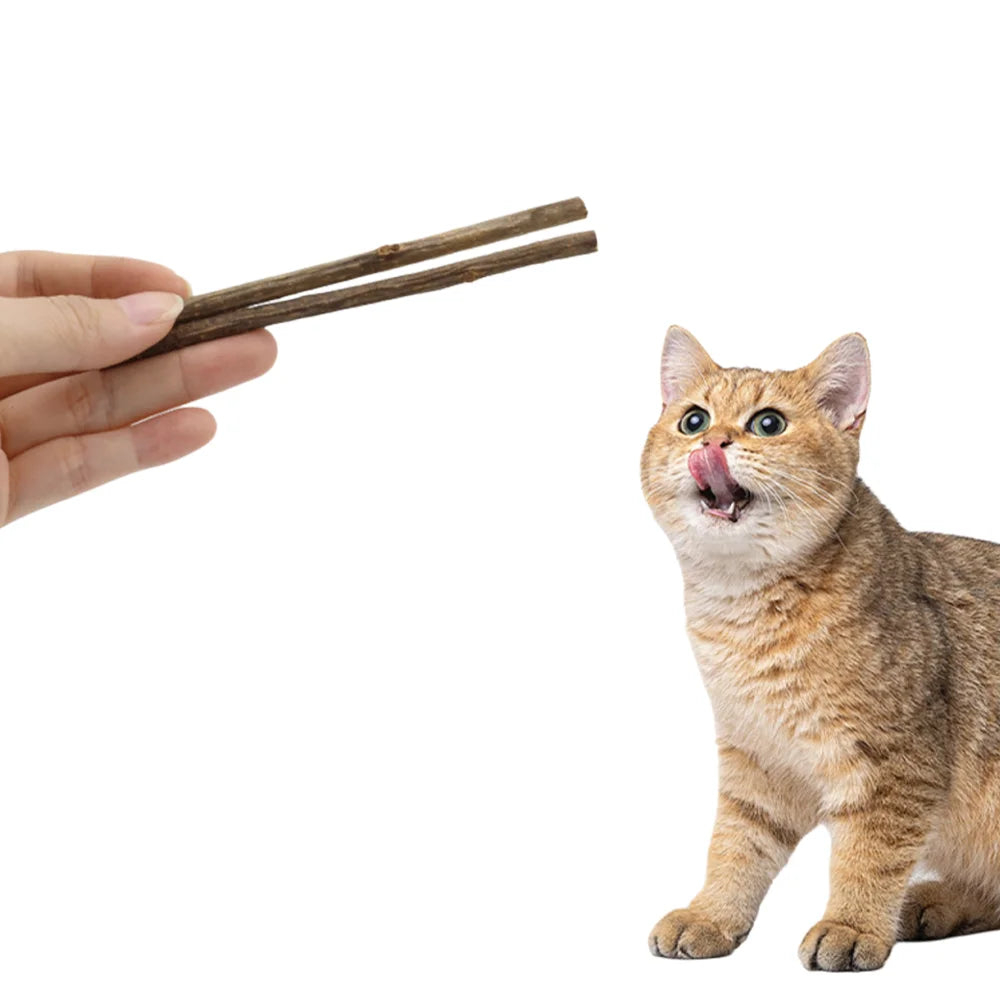 Natural Matatabi Cat Chew Sticks for Dental Play