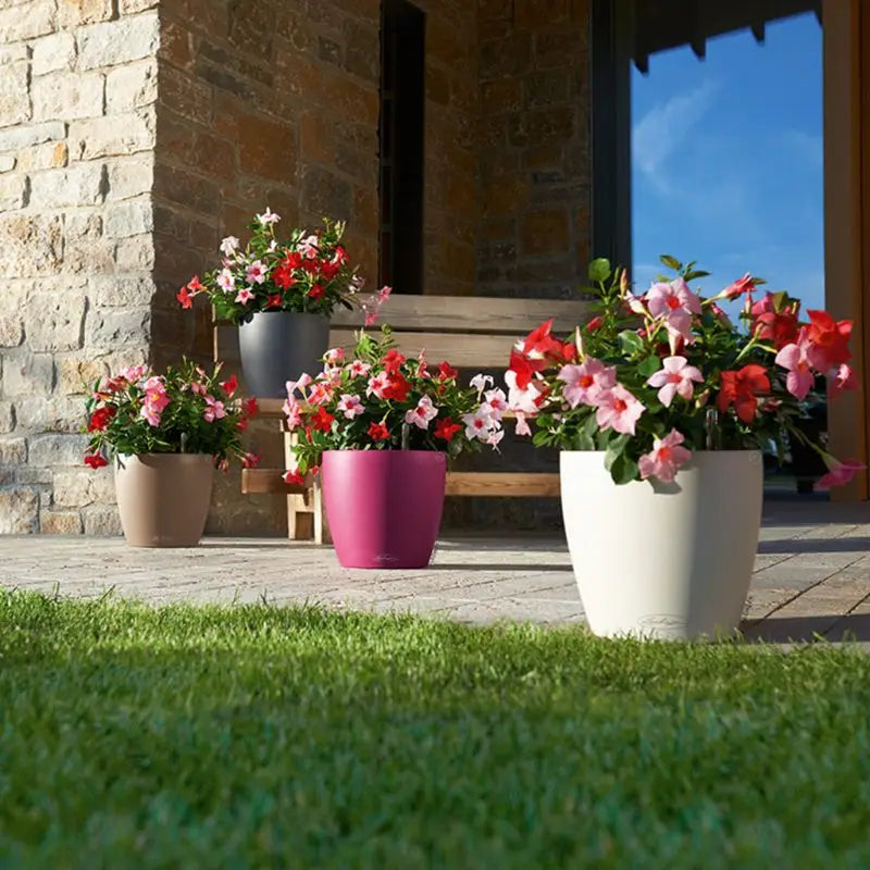 Self-Watering Indoor Planter Pot with Water Level Indicator