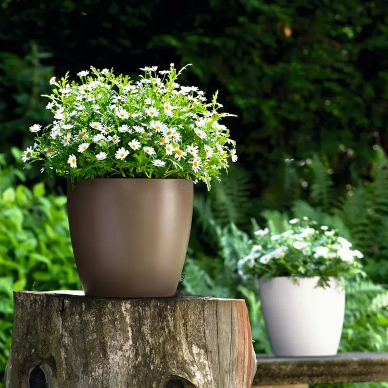 Self-Watering Indoor Planter Pot with Water Level Indicator