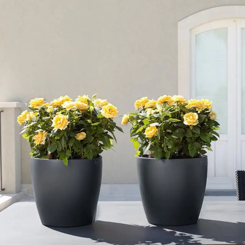 Self-Watering Indoor Planter Pot with Water Level Indicator