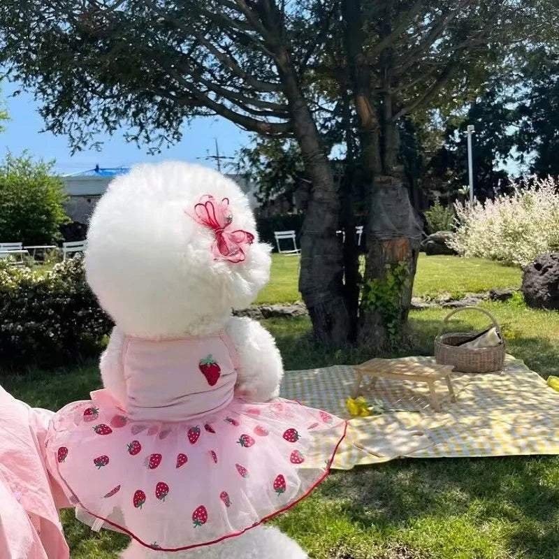 Strawberry Daisy Tulle Dog Dress for Small Pets