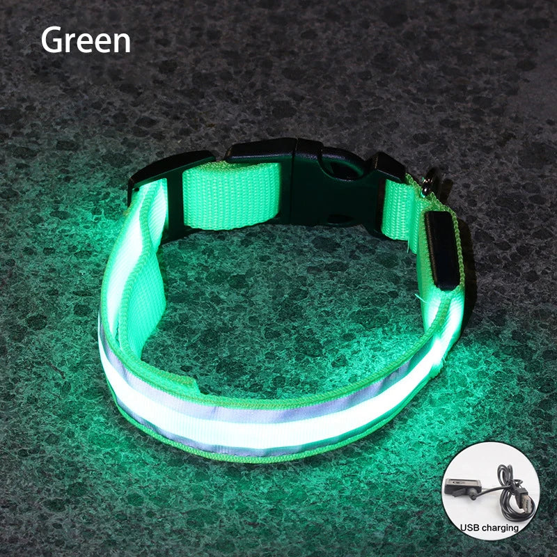 Reflective LED Dog Collar with Rechargeable or Button Battery Options