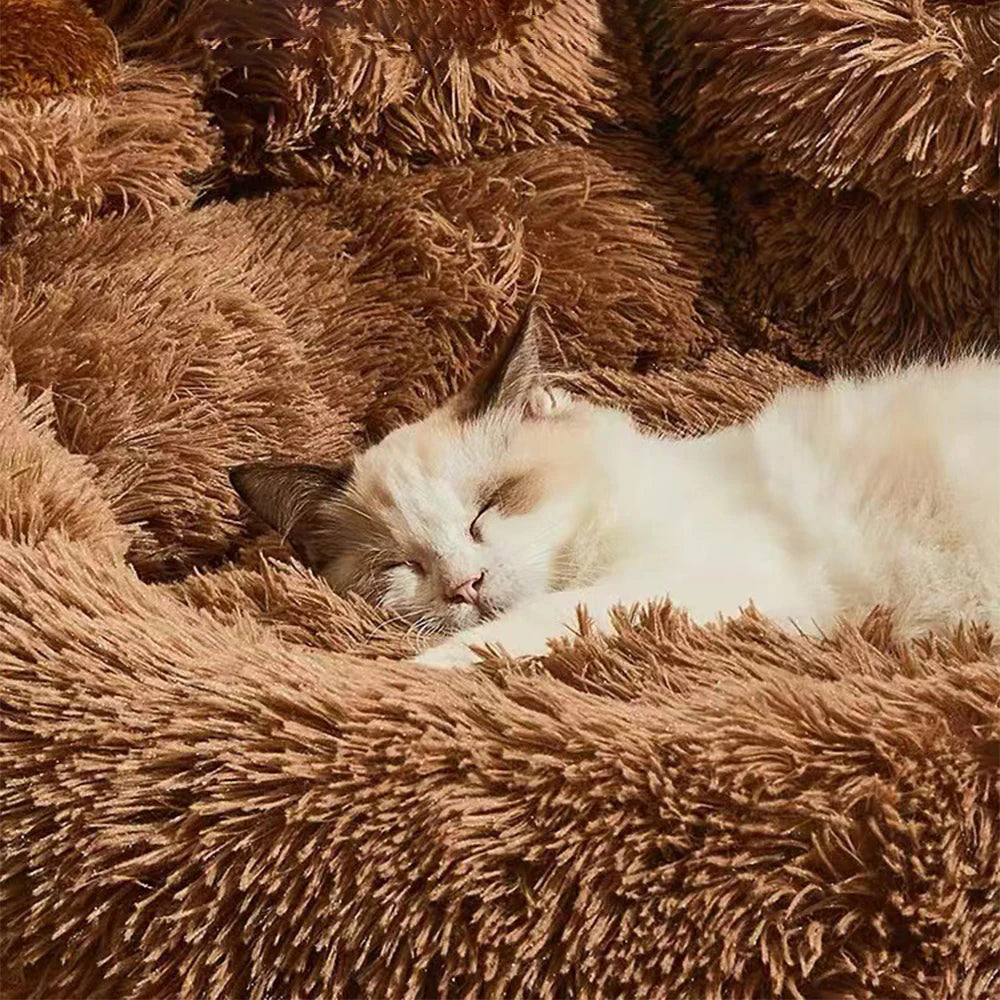 Breathable Plush Dog Sofa Bed for Small and Medium Pets