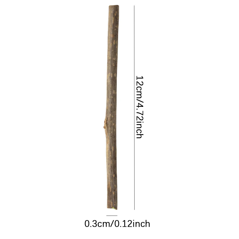 Natural Matatabi Cat Chew Sticks for Dental Play