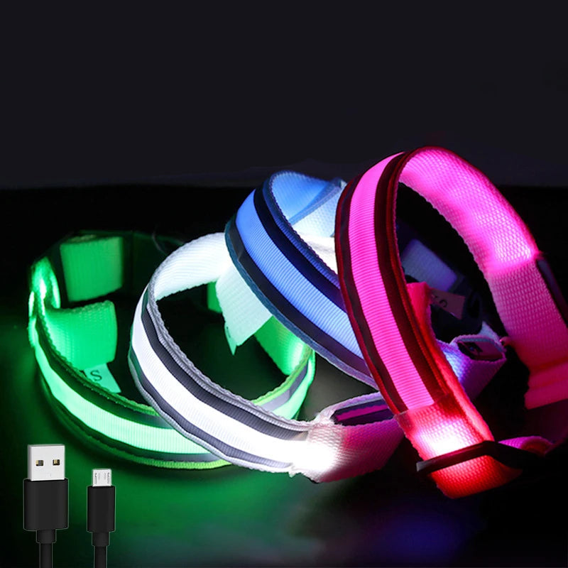 Reflective LED Dog Collar with Rechargeable or Button Battery Options