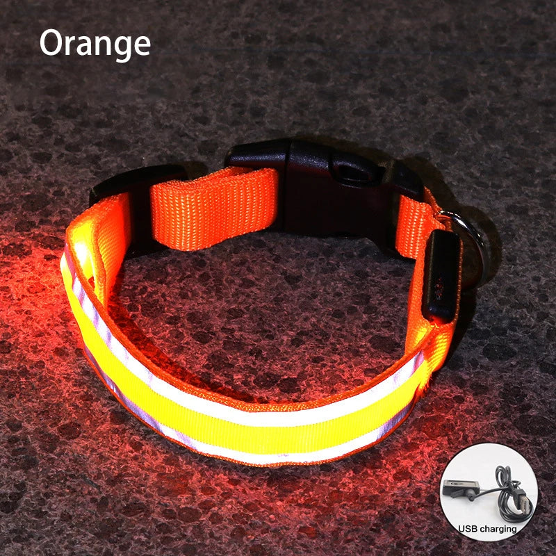 Reflective LED Dog Collar with Rechargeable or Button Battery Options