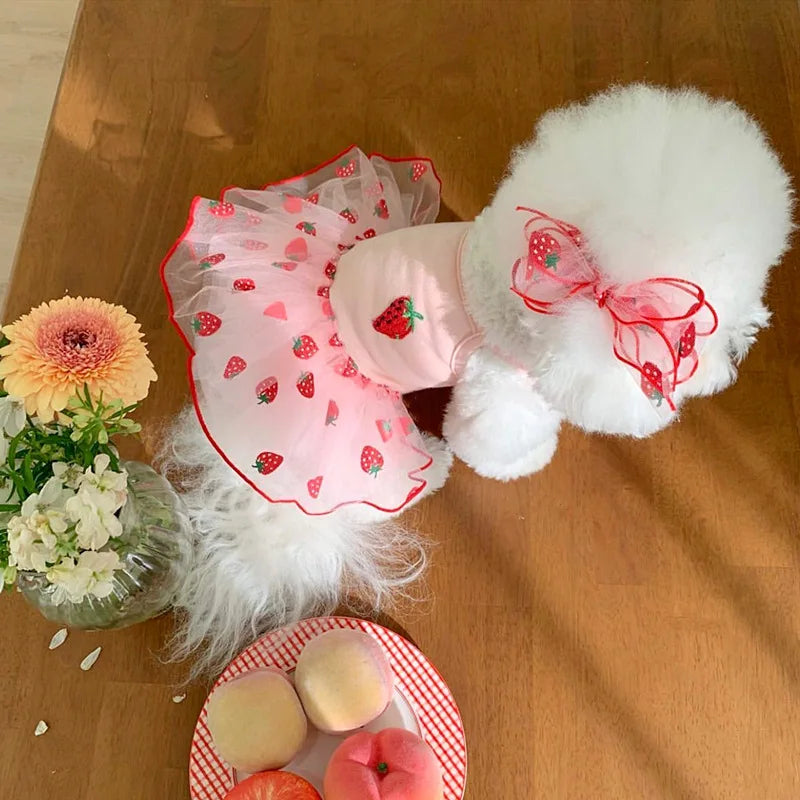 Strawberry Daisy Tulle Dog Dress for Small Pets