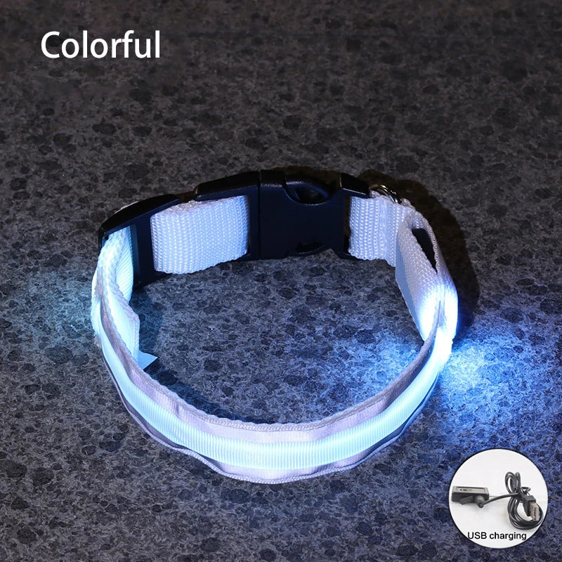 Reflective LED Dog Collar with Rechargeable or Button Battery Options