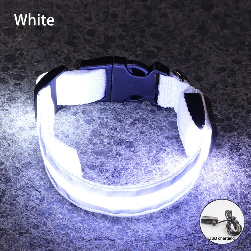 Reflective LED Dog Collar with Rechargeable or Button Battery Options