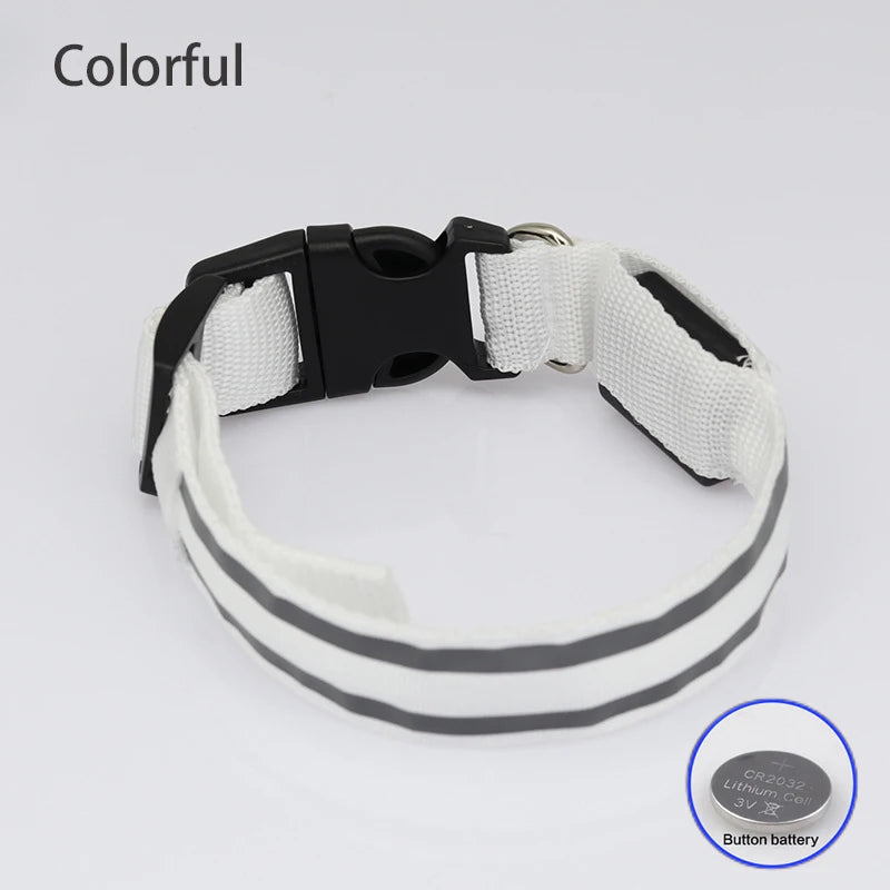 Reflective LED Dog Collar with Rechargeable or Button Battery Options