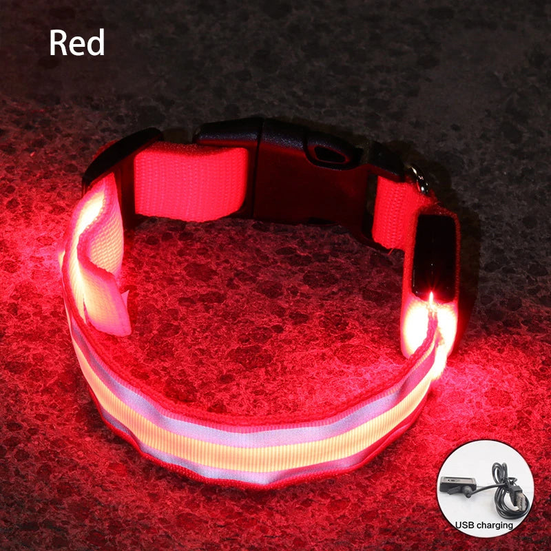 Reflective LED Dog Collar with Rechargeable or Button Battery Options