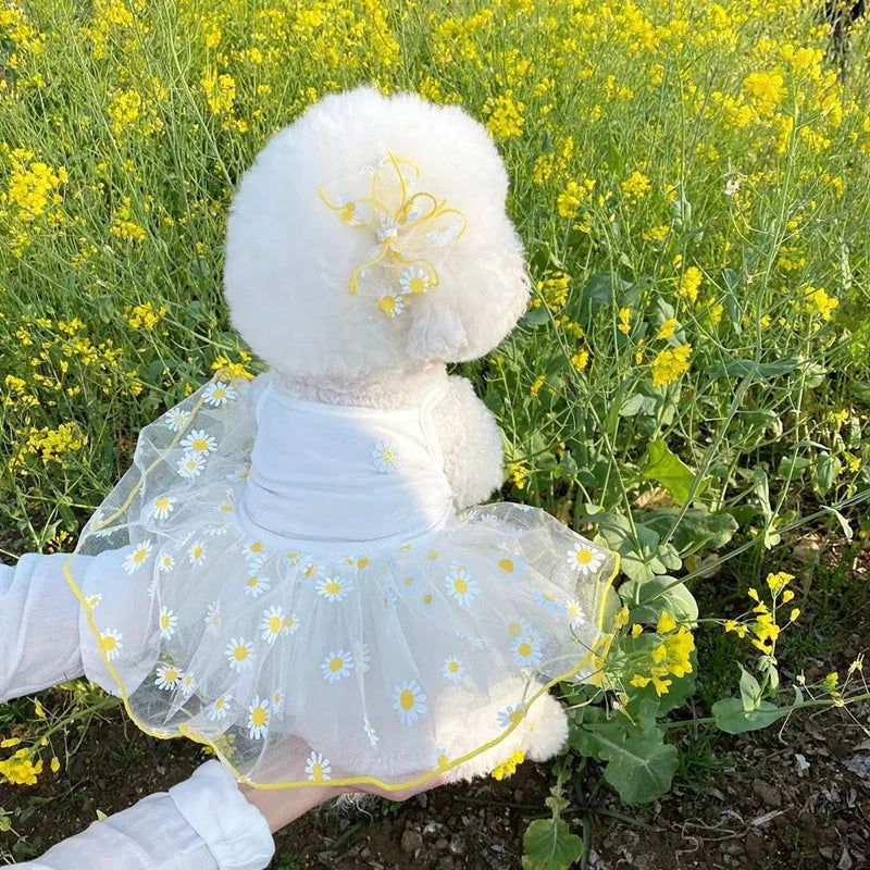 Strawberry Daisy Tulle Dog Dress for Small Pets