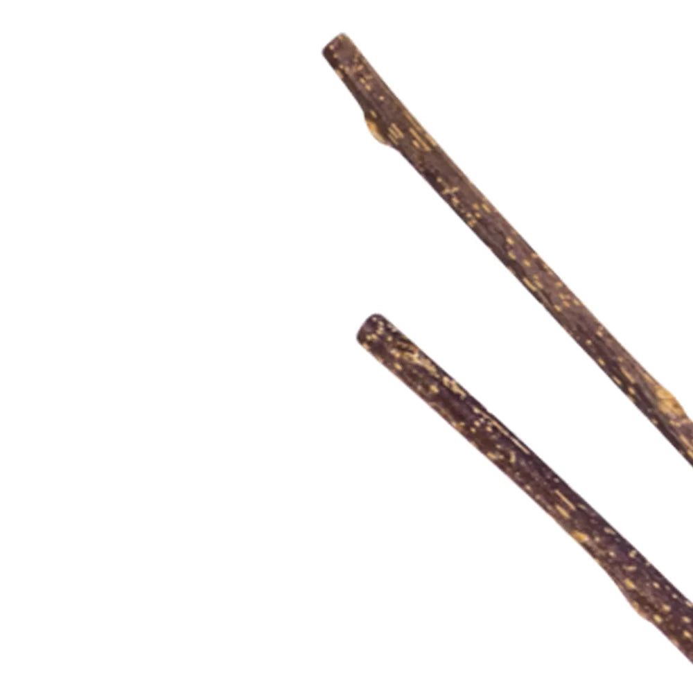 Natural Matatabi Cat Chew Sticks for Dental Play