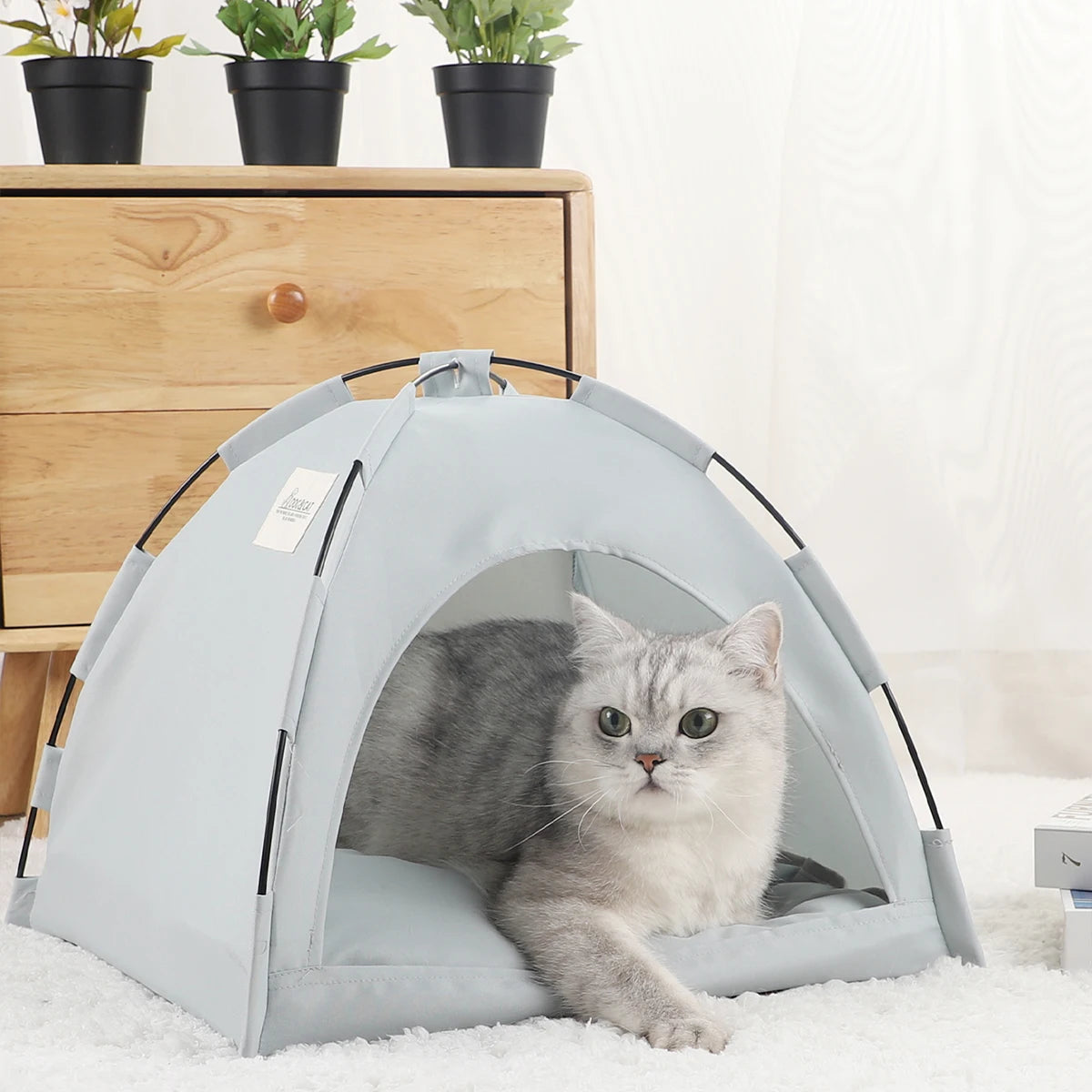 Warm Clamshell Cat Tent Bed with Cushion