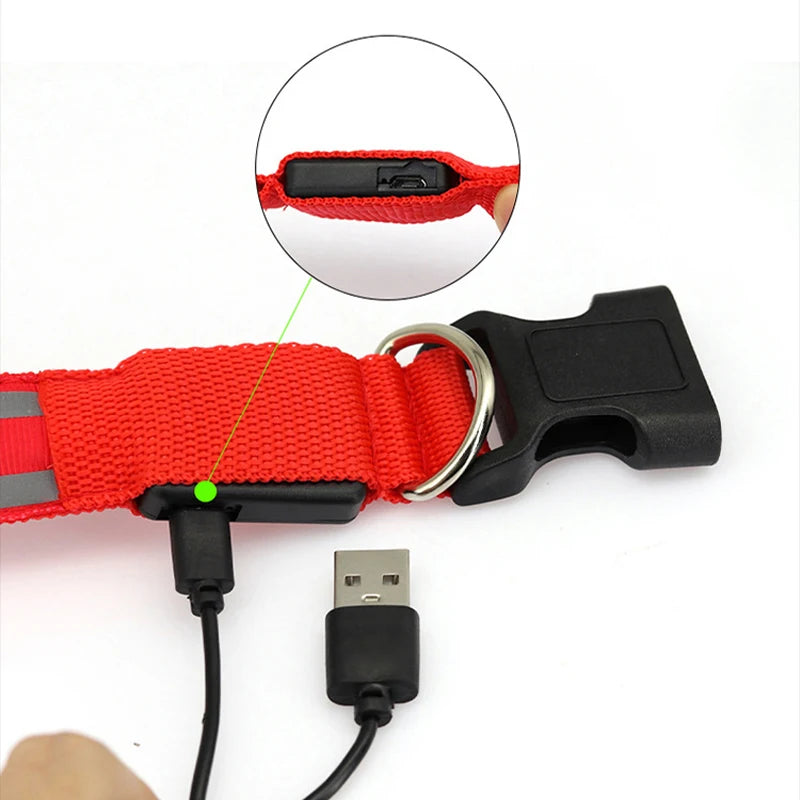 Reflective LED Dog Collar with Rechargeable or Button Battery Options