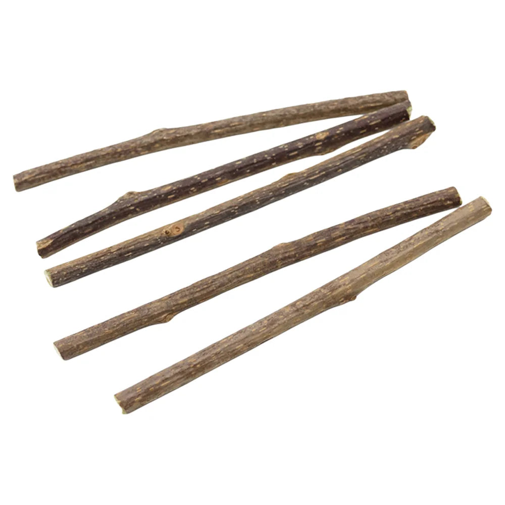 Natural Matatabi Cat Chew Sticks for Dental Play