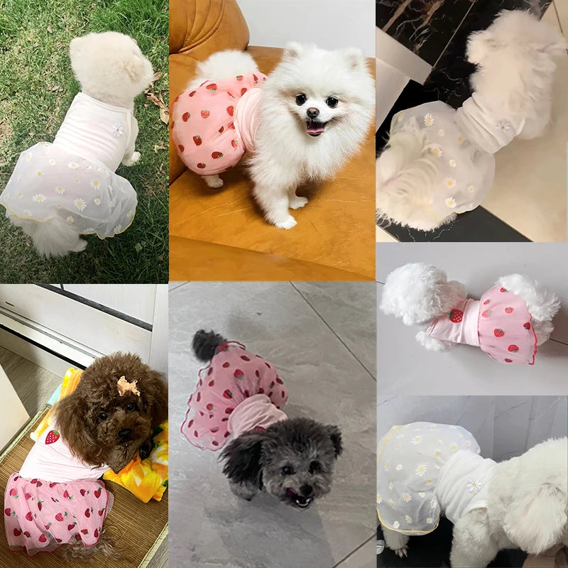 Strawberry Daisy Tulle Dog Dress for Small Pets