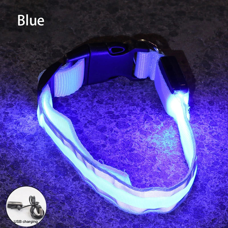 Reflective LED Dog Collar with Rechargeable or Button Battery Options