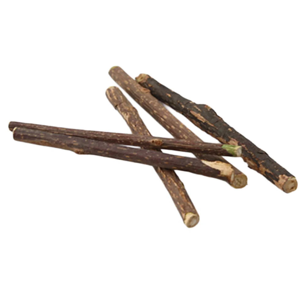 Natural Matatabi Cat Chew Sticks for Dental Play