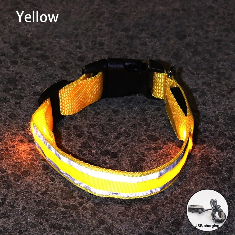 Reflective LED Dog Collar with Rechargeable or Button Battery Options